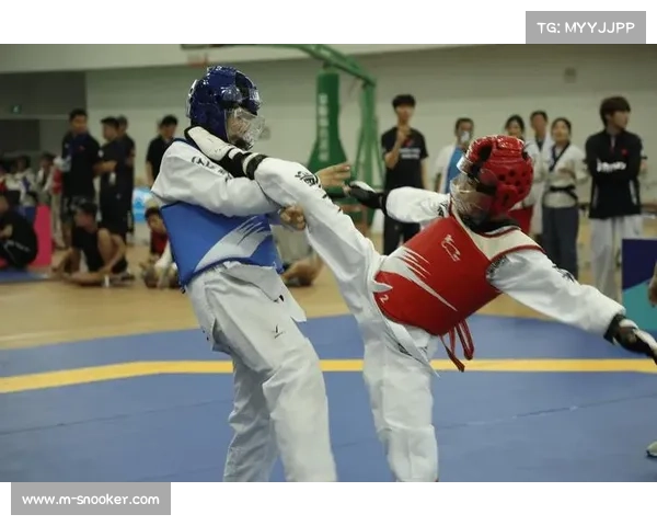 全国青少年武术俱乐部公开赛海南昌江站圆满落幕参赛选手展现高超技艺